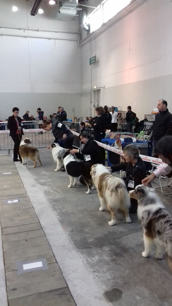 les expositions