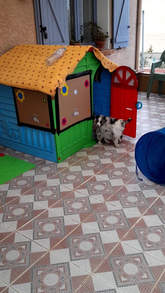 les activités des bébés